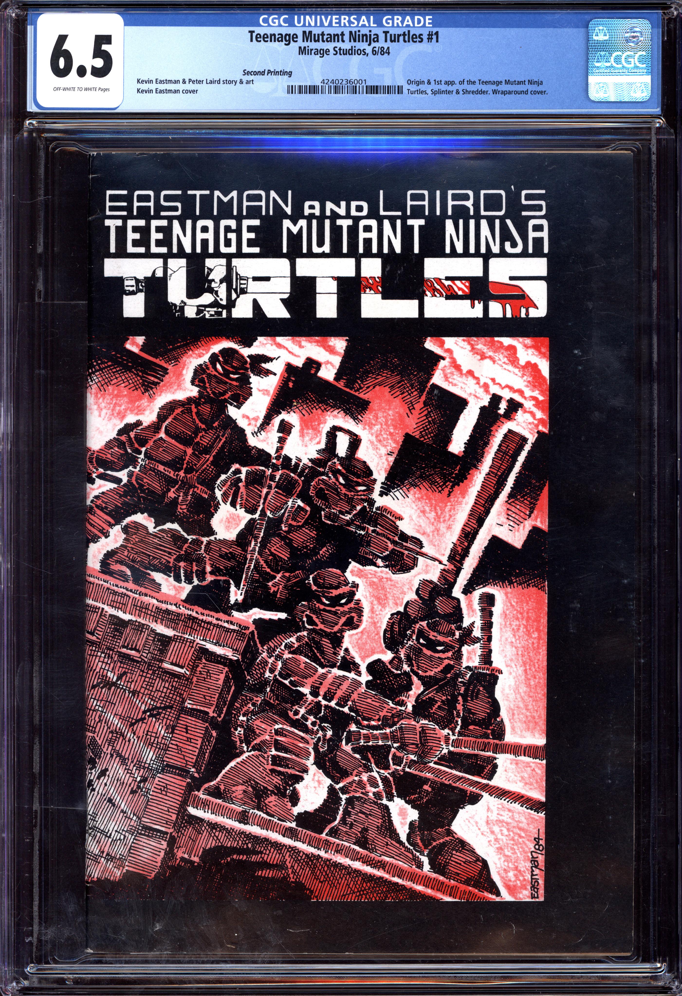 TEENAGE MUTANT NINJA TURTLES Front Cover