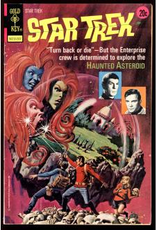 STAR TREK #19 5.0 front cover