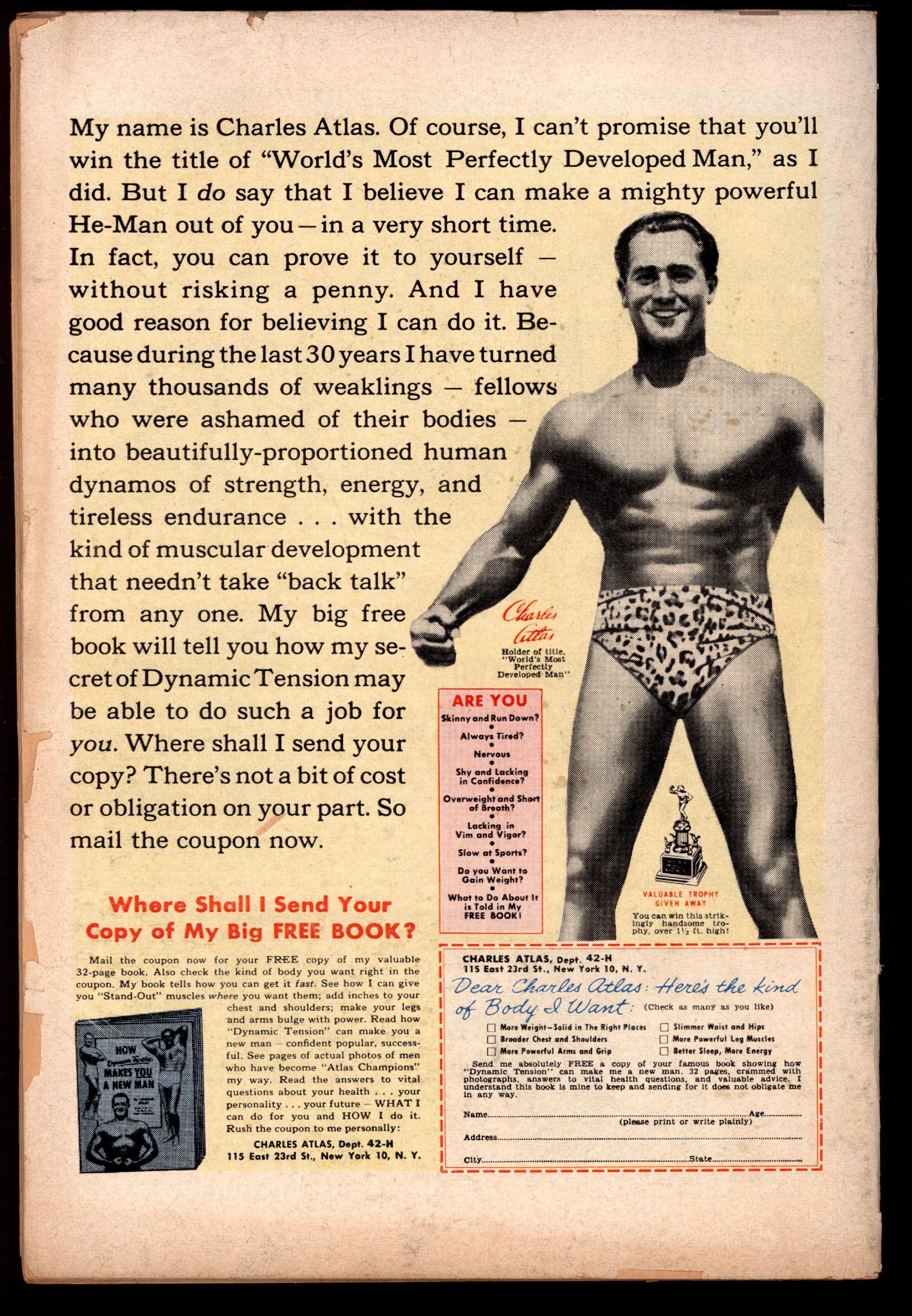 ADVENTURES OF THE FLY Back Cover