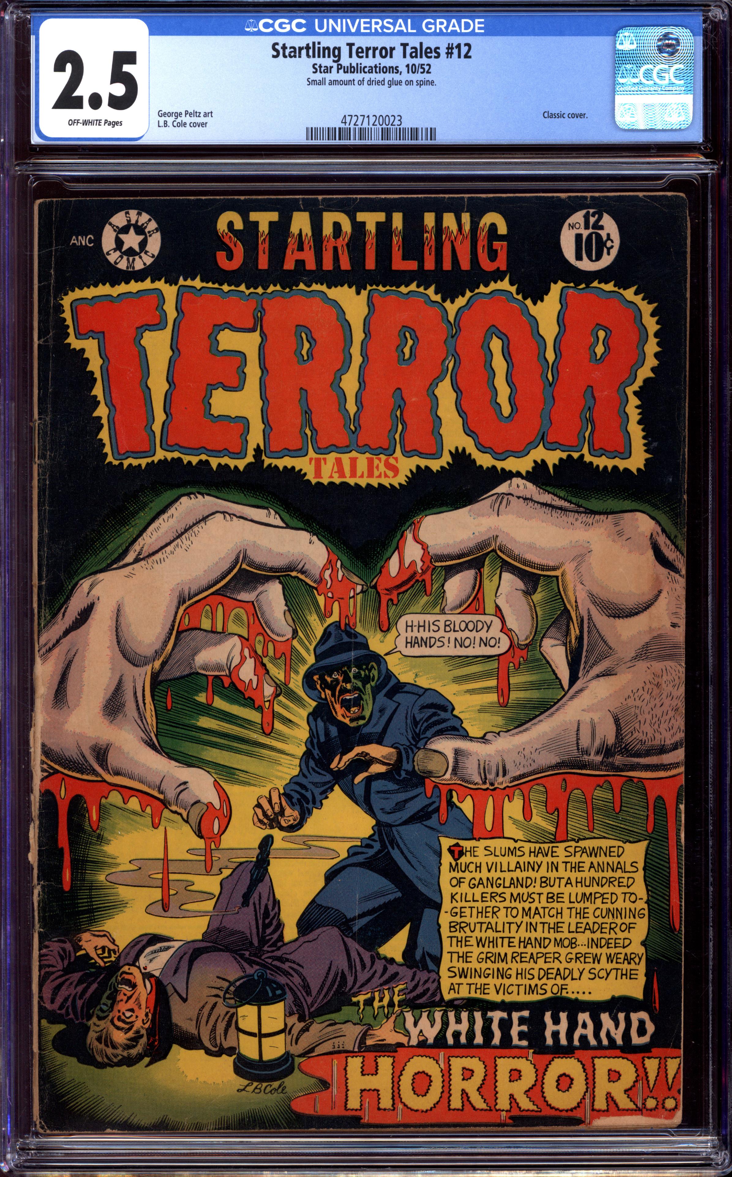 STARTLING TERROR TALES Front Cover