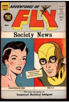 ADVENTURES OF THE FLY #6 3.5 front cover