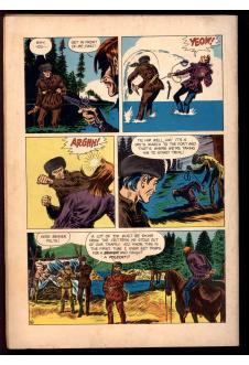 Click to see a larger back cover image