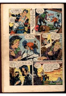 Click to see a larger back cover image