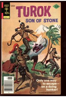Cover of Turok, Son of Stone #110