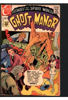 GHOST MANOR #16 5.0 front cover
