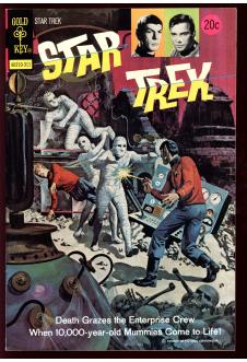STAR TREK #21 7.5 front cover