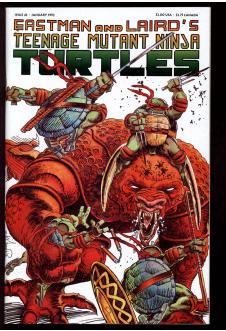 TEENAGE MUTANT NINJA TURTLES #43 6.5 front cover