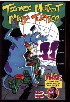 TEENAGE MUTANT NINJA TURTLES #38 9.2 front cover