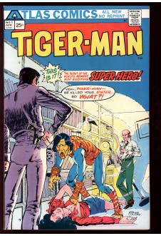 TIGER-MAN #1 9.0 front cover