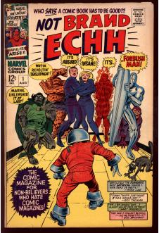 NOT BRAND ECHH #1 4.0 front cover