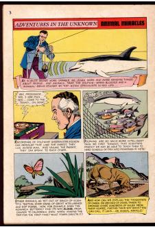 Click to see a larger back cover image