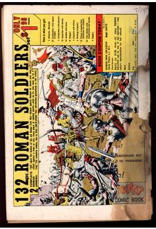 Click to see a larger back cover image