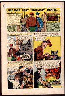 Click to see a larger back cover image