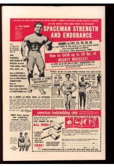 Click to see a larger back cover image