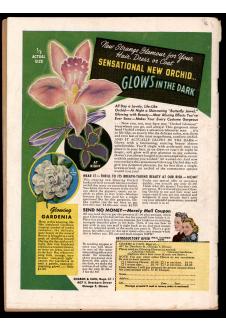 Click to see a larger back cover image