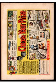 Click to see a larger back cover image