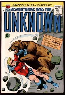 ADVENTURES INTO THE UNKNOWN #159 7.0 front cover