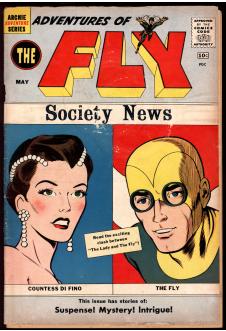ADVENTURES OF THE FLY #6 2.0 front cover