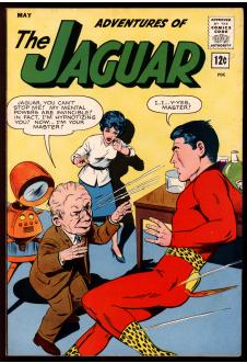 ADVENTURES OF THE JAGUAR #12 8.0 front cover