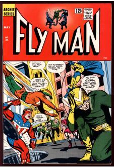 ADVENTURES OF THE FLY #31 7.5 front cover