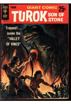 TUROK, SON OF STONE GIANT #1 4.0 front cover