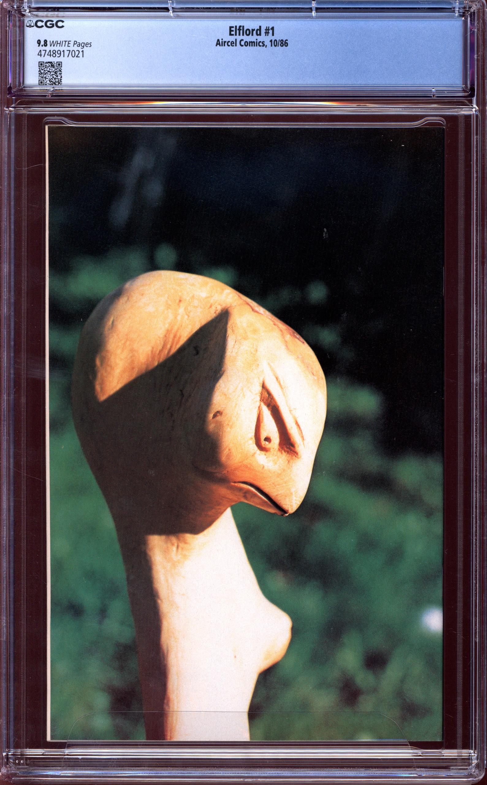 ELFLORD Back Cover